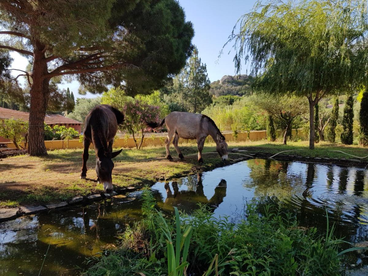 Farm stay Le Pailler 2p Et 3 Enfants Sous Le Tipi