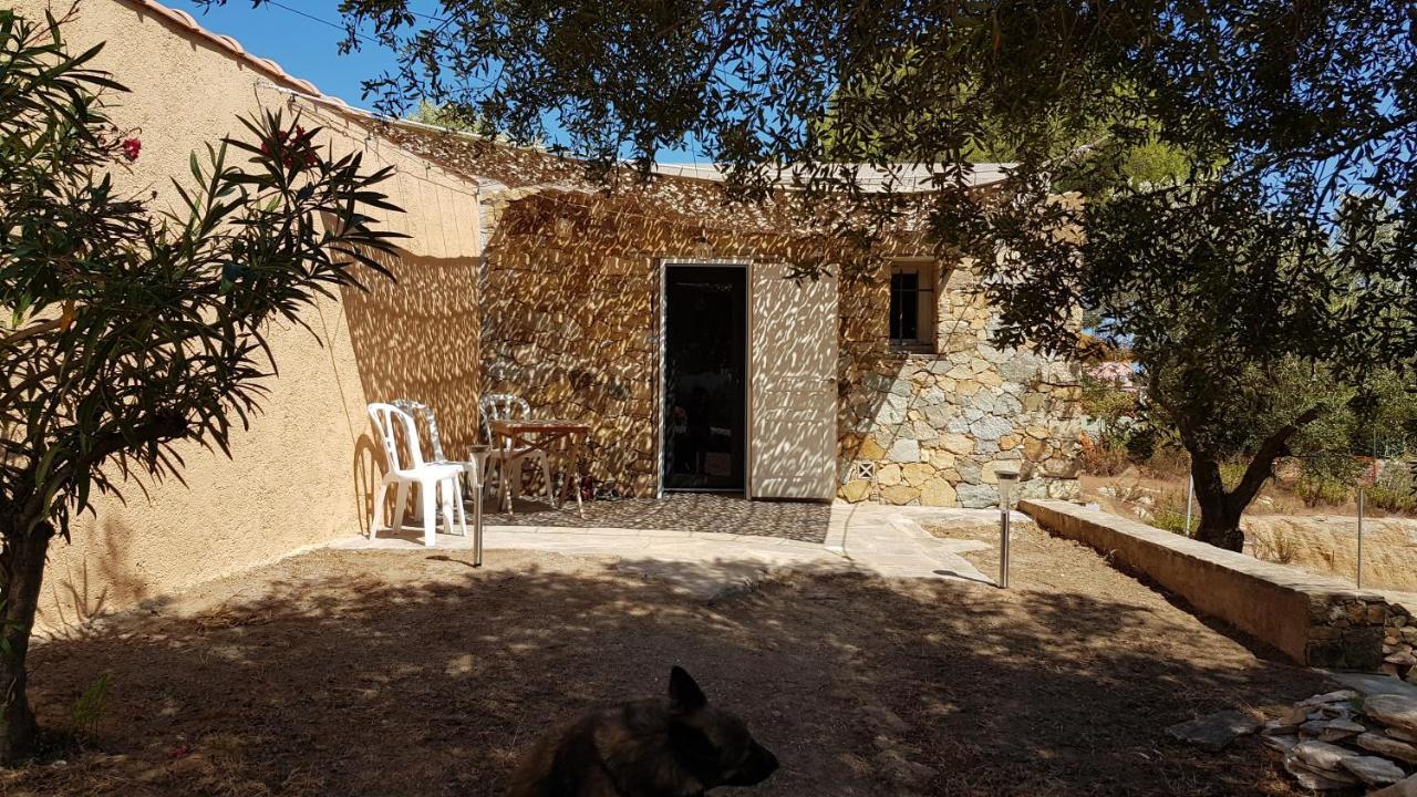 Farm stay Le Pailler 2p Et 3 Enfants Sous Le Tipi Calvi (Corsica)