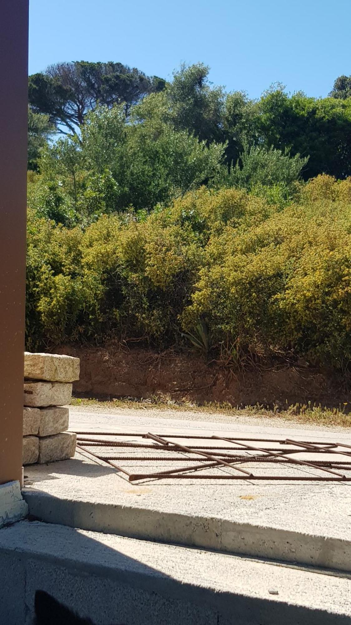Le Pailler 2p Et 3 Enfants Sous Le Tipi Farm stay Calvi (Corsica)